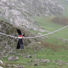 Las balizas, más conocidas como ‘salvapáros’ evitan que las aves choquen con el tendido eléctrico. DL
