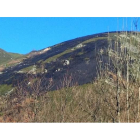 Área calcinada por el fuego en el paraje de La Toca.