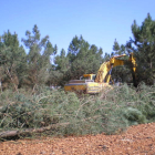 Los agricultores exigen que ninguna superficie arbolada se considere terreno agrícola.