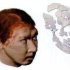 Imagen de la reconstrucción craneal de un hombre de neandertal