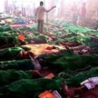 Cientos de cuerpos permanecían cerca del templo de Mandherdevi