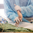 Una enfermera trata a un paciente con covid-19, moviendo sus dedos y muñecas, en una Unidad de Cuidados Intensivos. EFE