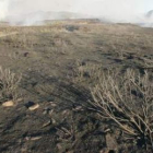 Imagen de archivo de un incendio forestal en la comarca