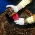 Las castañas, un fruto muy típico de la estación otoñal, se comen asadas para celebrar el magosto