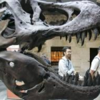 La exposición inaugurada muestra por primera vez fósiles originales hallados en la provincia de León