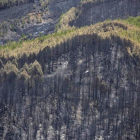 otografía facilitada por el Gobierno de Canarias sobre los daños provocados por el incendio forestal.