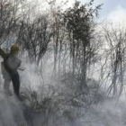 Un miembro de una cuadrilla forestal avanza sobre tierra quemada en una imagen de archivo