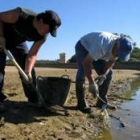 Los voluntarios junto con personal del Ayuntamiento recogieron los peces muertos del pantano
