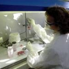 Laboratorio donde se realizan los test de priones para analizar si los hay en las reses de vacuno