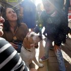 La campaña ‘Adóptame’ se desarrolló ayer en la calle del Cristo de Ponferrada.