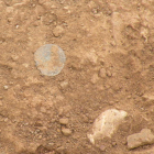 Imagen de una de las monedas que se encontró en una de las zonas de la cueva del Oso, en Riaño.