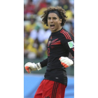 El mexicano Guillermo Ochoa ha sido una de las sensaciones.