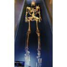 Esqueleto de Braña 2.