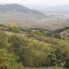 Los montes en las inmediaciones de Lombillo con la ciudad de Ponferrada al fondo.