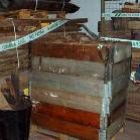 Un guardia civil inspecciona la madera incautada en la operación Palo
