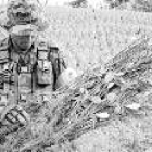 Un soldado del Ejército colombiano arranca plantas de coca en la localidad de Sardinata