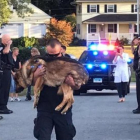La emotiva despedida a un perro policia diagnosticado con cancer de higado