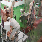 Ternabi sacrifica en Villablino y Toreno le queda pequeño.