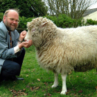 La oveja Dolly, de cuya clonación se cumplen veinte años, acariciada por su creador, el británico Ian Wilmut. REDACCIÓN
