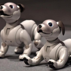 Robot canino desarrollado por la empresa japonesa Sony.