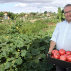 León cuenta con la experiencia de los huertos de La Candamia destinados a la población jubilada del municipio