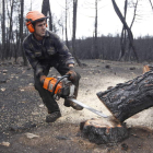 Un operario tala un pino quemado en el incendio de agosto en el monte de Castrocontrigo.