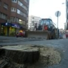 El servicio de Jardines retiró las acacias ayer por la mañana de la céntrica calle Villabenavente