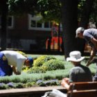 Los operarios de jardines y parques trabajando ayer en San Francisco.