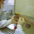 Proceso de análisis en un laboratorio pecuario
