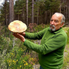 Eugenio Juan Gómez de Cantharellus, muestra el boletus pinícola de 28 centímetros de diámetro y 1,5 kilos. DL