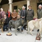 Los ejemplares ganadores posan en una imagen de familia con sus criadores y diversas autoridades