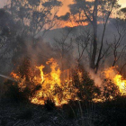 Un bombero voluntario de Nueva Gales del Sur intenta apagar las llamas en Bell, al este de Australia, este domingo.