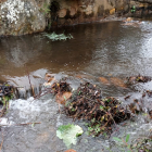 Imagen del agua contaminada en Luyego de Somoza. DL