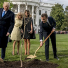 El presidente Donald Trump y su homólogo francés, Emmanuel Macron, plantan un árbol ante la presencia de sus esposas.