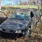 Unos castaños detuvieron la caída del Audi A-6 a unos quince metros de la carretera
