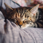 Insomnio desescalada España: consejos infalibles para dormir mejor