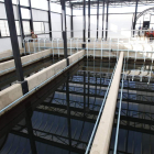 Instalaciones del servicio de aguas, en el Alto del Portillín, para la traída del Porma. RAMIRO