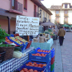 Los puestos que vendan tomates de Mansilla tendrán un lugar preferente en la plaza del Grano.