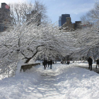 Situación en la que se encontraba Central Park en Nueva York tras la tormenta.