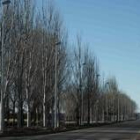 El PSOE quiere una autovía entre Sahagún y Palencia