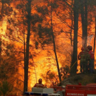 Unos bomberos tratan de sofocar el incendio que asoló la localidad de Capelo, en Portugal, el pasado junio.