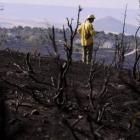 Más de 60 personas y 13 medios terrestres continúan trabajando en las labores de extinción del incendio que ayer se declaró en la pedanía de Aleas (Guadalajara).
