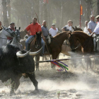 Un momento del torneo del Toro de la Vega. RICARDO SUÁREZ