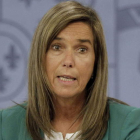 El PSOE ha pedido la comparecencia en el Congreso de la ministra de Sanidad, Ana Mato.