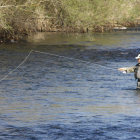 Un pescador en uno de los ríos de la provincia de León.