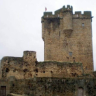 Imagen del castillo de San Felices de los Gallegos.