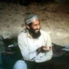 Fotografías sobre Bin Laden