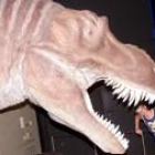 Un niño mete la cabeza entre las poderosas fauces de un dinosaurio
