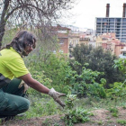 Un jardinero del Ayuntamiento de Barcelona en el parque del Mirador del Poble Sec.