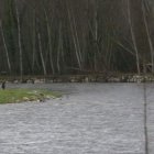Imagen del río Cúa en las proximidades de Cacabelos.